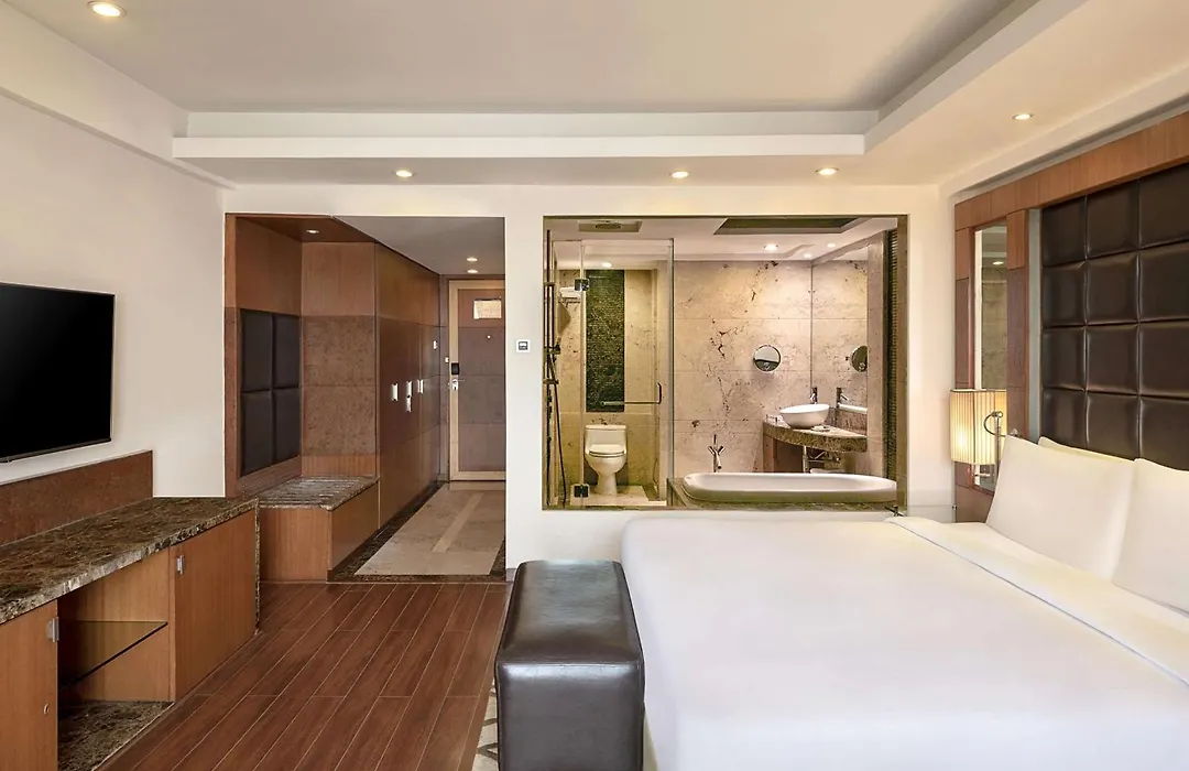 Radisson Blu Plaza Delhi Airport-1